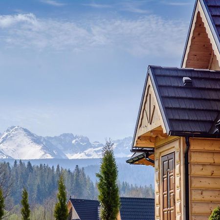 Domki Gawra Z Jacuzzi Zakopane Kültér fotó